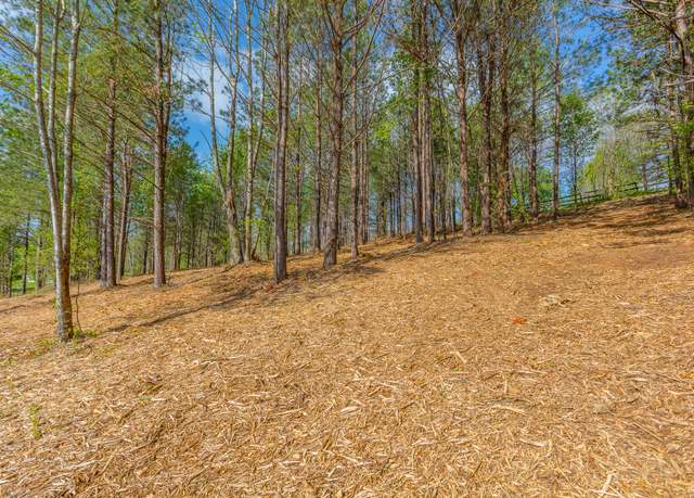 Property at 19 Turkey Run, Flintstone, GA 30725
