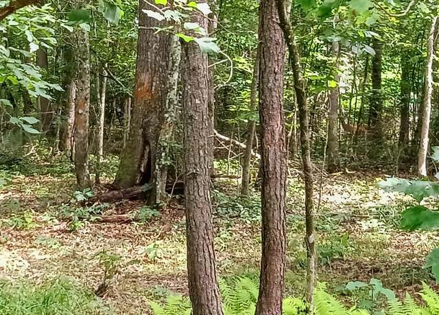 Property at 776 Pine Rd, Pikeville, TN 37367