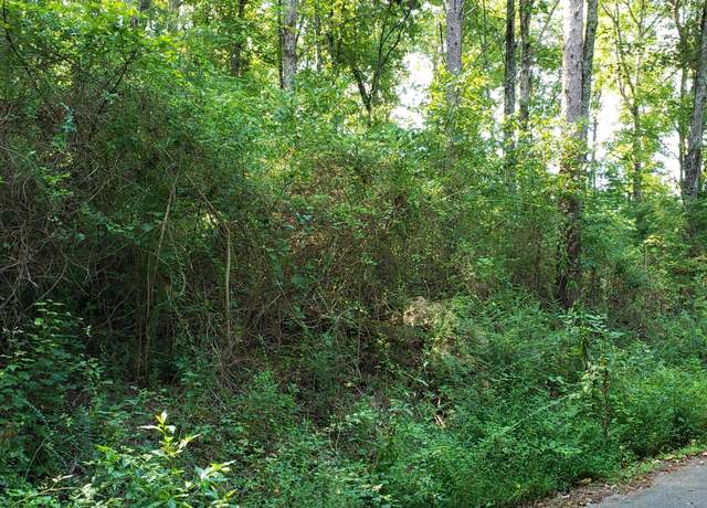 Property at 0 Treeline Dr #4, Dunlap, TN 37327