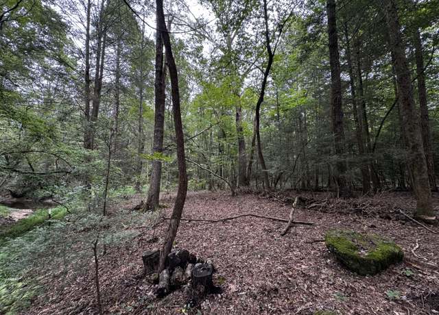 Property at 115 Sunshine Rd, Sequatchie, TN 37374