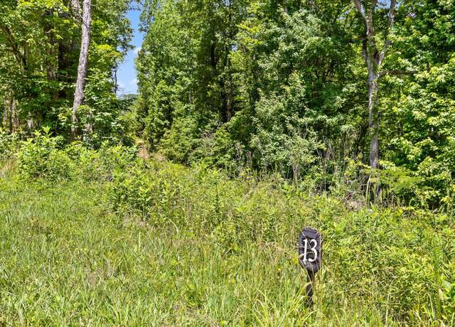 Property at 2310 Mt Olive Rd Lot 13, Lookout Mountain, GA 30750