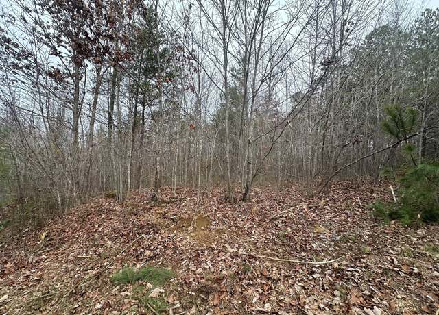 Property at 5.23 Browns Hollow Rd, Tracy City, TN 37387