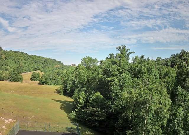 Property at 0 Mill Dr #07, Decatur, TN 37322