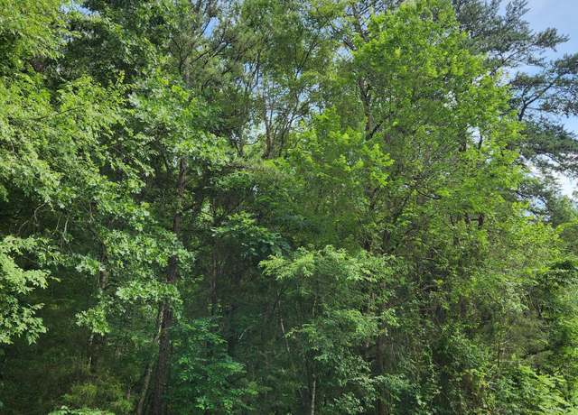 Property at 0 River Rd Unit 81 8, Decatur, TN 37322