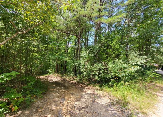 Property at 0 Bowater Rd, Pikeville, TN 37367