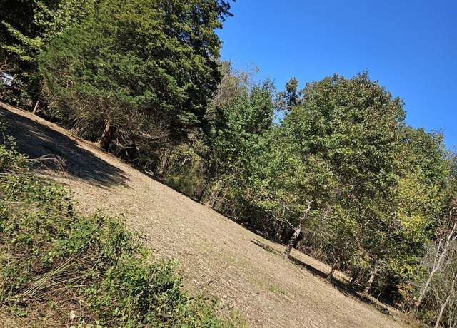 Property at 0 Sugar Tree Trl, Birchwood, TN 37308