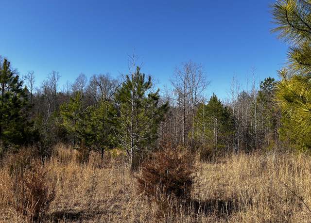 Property at 000 No Pone Valley Rd, Georgetown, TN 37336