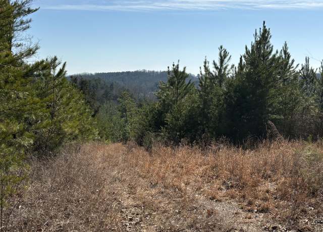 Property at 0 Vaughn Mill Rd, Evensville, TN 37332