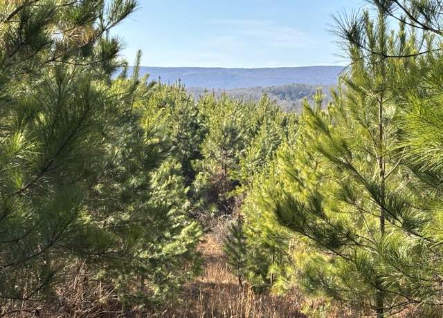 Property at 0 Dividing Ridge Rd, Spring City, TN 37381