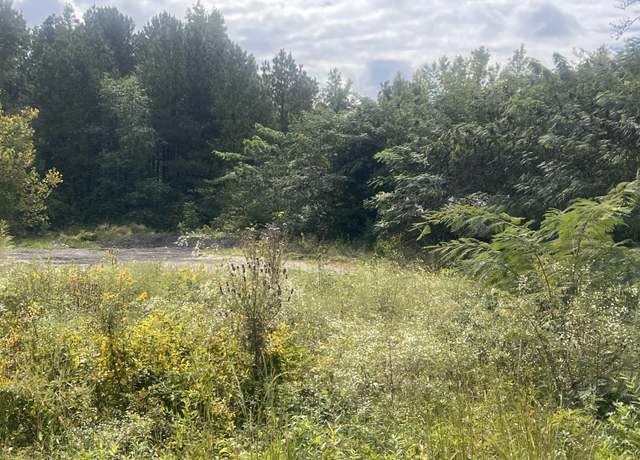 Property at 0 Alabama State Route 40, Valley Head, AL 35989