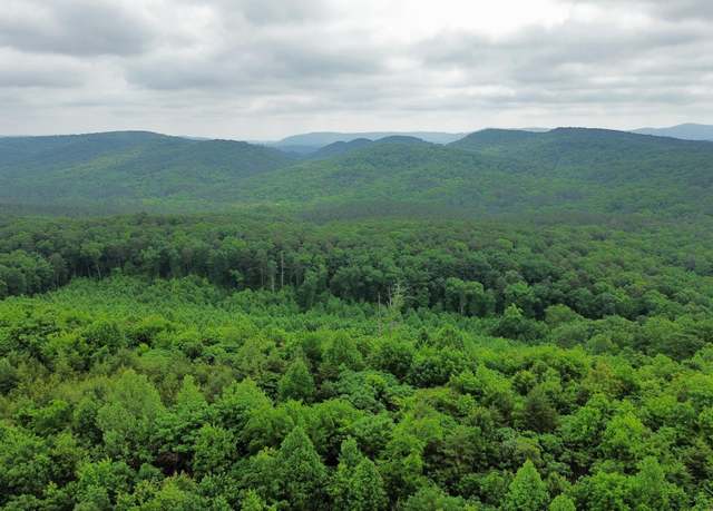 Property at 0 Hwy 151, Ringgold, GA 30736
