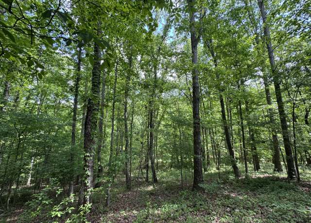 Property at 160 Scenic Cir, Ringgold, GA 30736