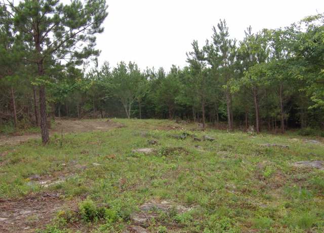 Property at 03 Summer City Rd, Evensville, TN 37332