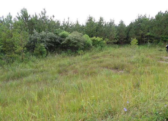 Property at 05 Summer City Rd, Evensville, TN 37332