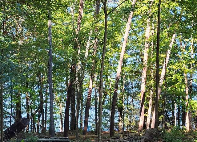 Property at 15003 May Rd, Sale Creek, TN 37373