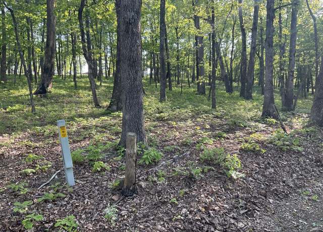 Property at 0 Plum Nelly Rd, Rising Fawn, GA 30738