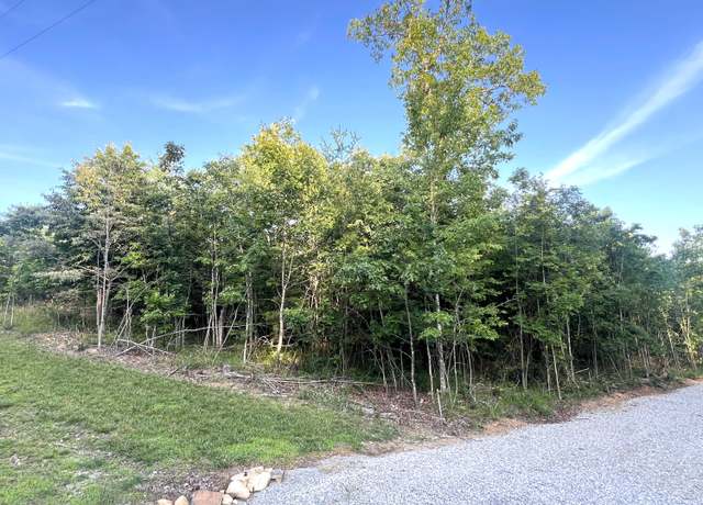 Property at 0 Salolee Cir, TN 37380