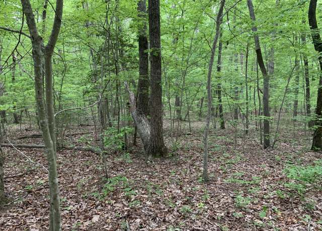 Property at 000 N Stewart Ln, Rising Fawn, GA 30738
