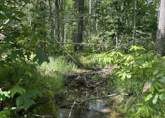Property at Tract 11 Dykes Holw, Tracy City, TN 37387