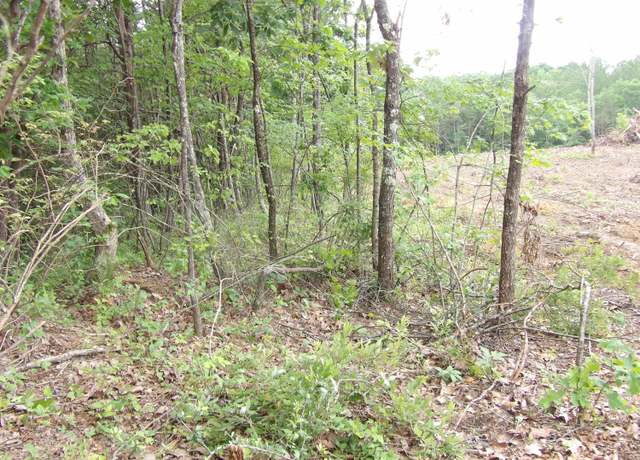 Property at Lot 7 Hughes Cemetery Rd #7, Evensville, TN 37332