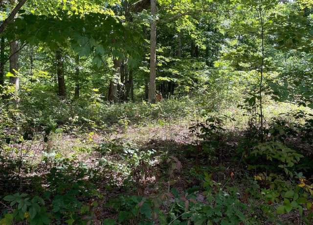 Property at 0 Roaring Creek Rd Lot 296, Dunlap, TN 37327