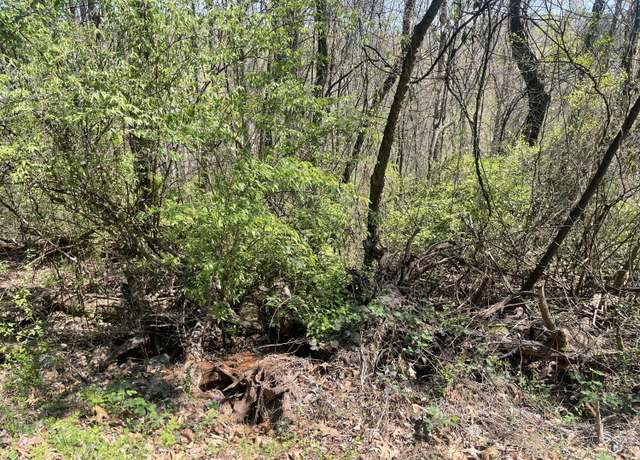 Property at 0 Georgia Ter, Rossville, GA 30741