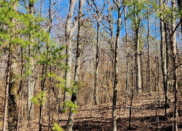 Property at 0 Northwoods Ln #15, Trenton, GA 30752