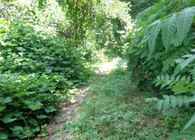 Property at 3705 Cross St, Chattanooga, TN 37411