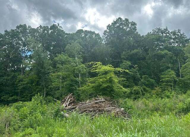 Property at 125 County Rd #155, Riceville, TN 37370