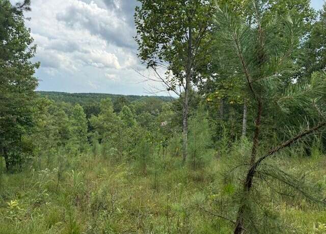 Property at 0 South Pittsburg Mountain Rd, South Pittsburg, TN 37380