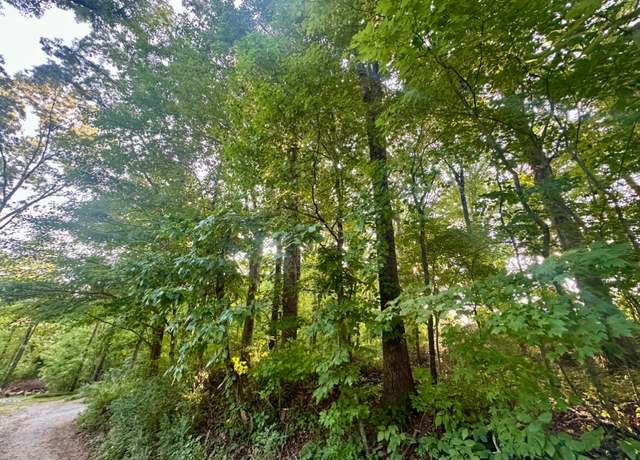 Property at 1ac Reed Strickland Ln, Spring City, TN 37381