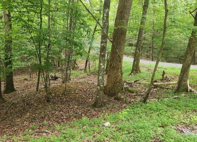 Property at 397/398 Fawnwood Dr, Spring City, TN 37381