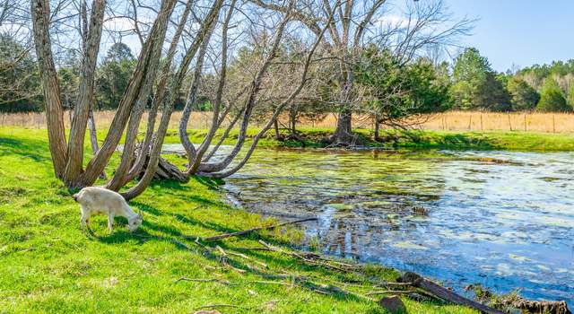 Photo of 3785 Poplar Springs Rd, Ringgold, GA 30736