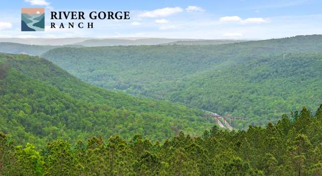 Photo of Lot 1365 Split Rail Way, Guild, TN 37340