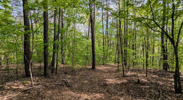 Photo of 5694 Ladd Springs Rd, Old Fort, TN 37362