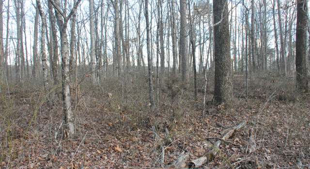 Photo of 3 Three Forks Rd #13, South Pittsburg, TN 37380