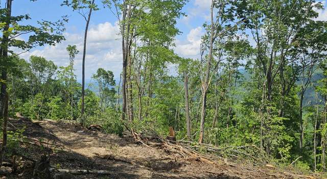 Photo of 12 Higgenbottom Tpke, Altamont, TN 37301