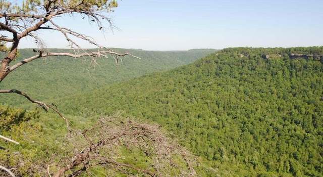 Photo of 0 E Of Pocket Crk E, Whitwell, TN 37397