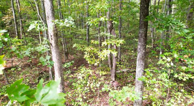 Photo of 4.16 Acres N Stewart Ln, Rising Fawn, GA 30738
