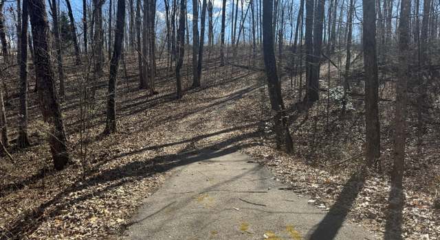 Photo of Tract 37 Village Dr, Cohutta, GA 30710