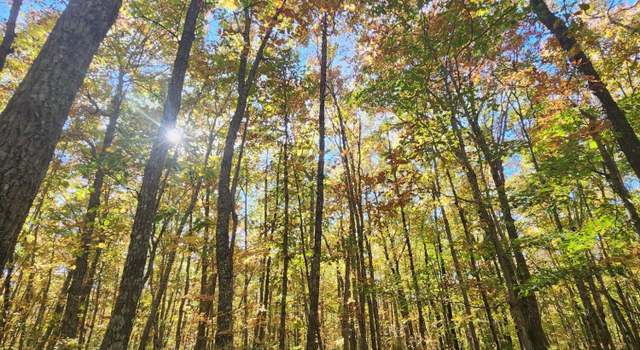 Photo of 17 Higgenbottom Tpke, Altamont, TN 37301
