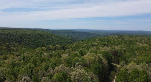 Photo of 0 Palmer Fire Tower Rd, Tracy City, TN 37387