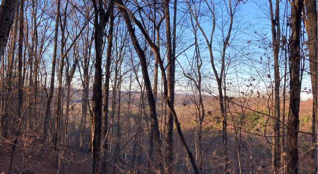 Photo of 359 County Rd, Calhoun, TN 37309