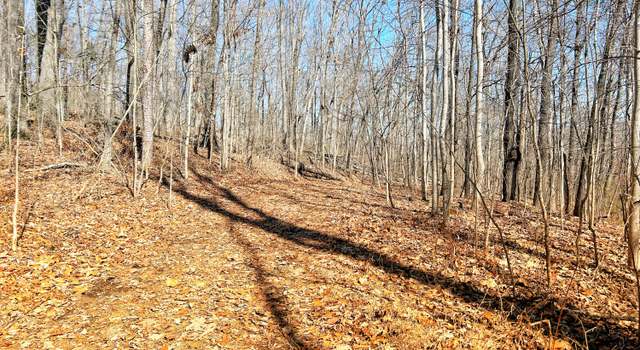 Photo of 0 Browbend Dr #19, Guild, TN 37340