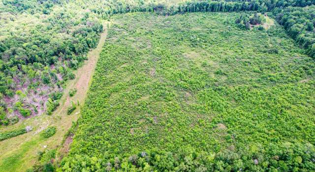 Photo of 10 Acres County Rd 14, Flat Rock, AL 35966