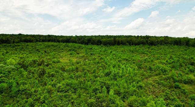 Photo of 10 Acres County Rd 14, Flat Rock, AL 35966