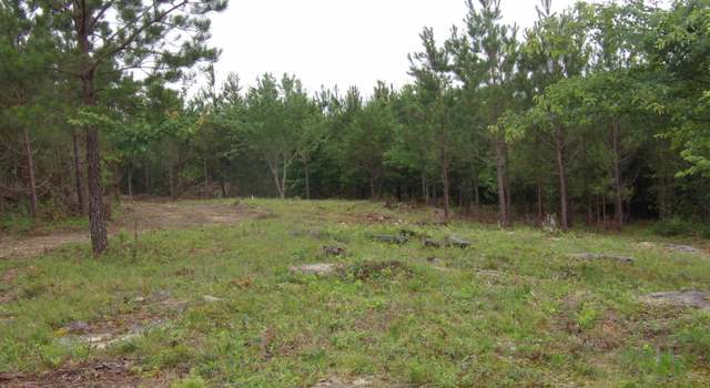 Photo of 03 Summer City Rd, Evensville, TN 37332
