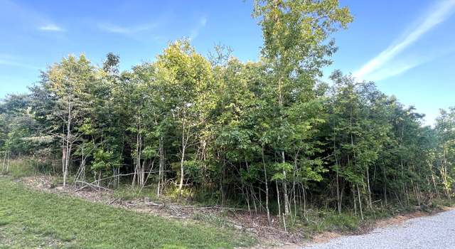 Photo of 0 Salolee Cir, TN 37380