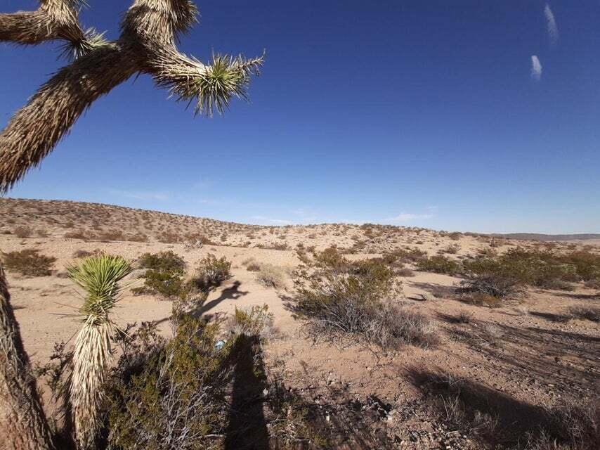 3095 Mt Nebo Rd Joshua Tree CA 92252 MLS 219096042 Redfin   219096042 0 