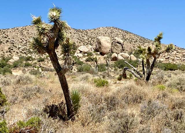 Property at 51001 Geronimo Trl, Pioneertown, CA 92268